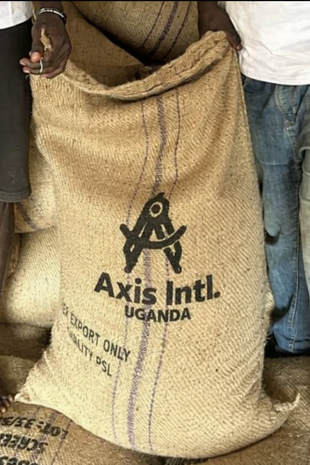 Our team in East Africa