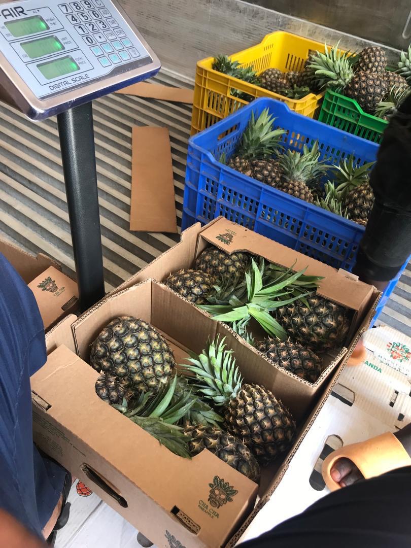 UK Wholesale Supply